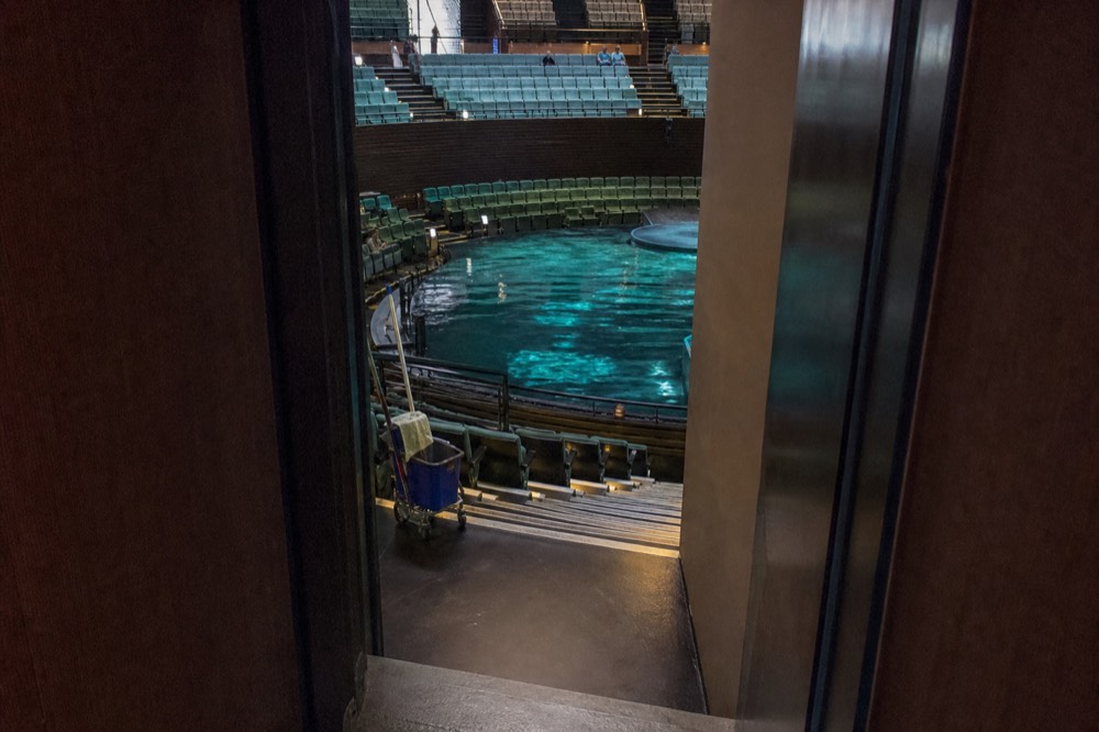 Theatre-in-the-round auditorium with a large pool stage in the centre