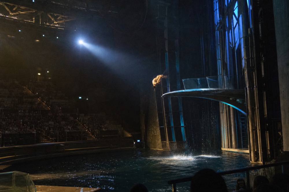 A high diver mid-fall above a large theatre pool